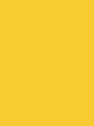 COTONA No. 50 1000M  MUSTARD YELLOW