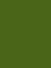 COTONA NO.50 1000M  FOREST GREEN