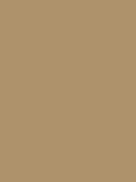 POLYNEON No. 75  2500M  BEIGE