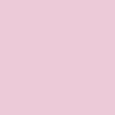 Colour baby pink