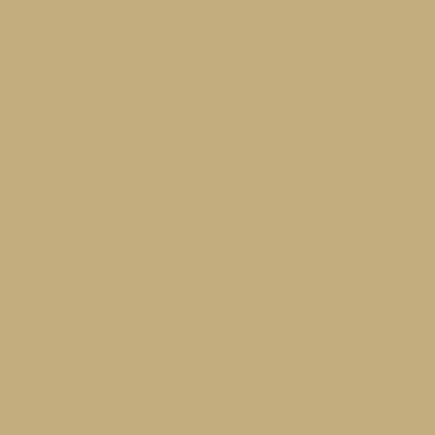 SENSA GREEN No. 40 1000M CAMEL