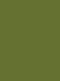 Colour olive green