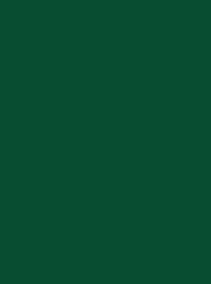 AEROFIL No. 120 400M   DARK GREEN