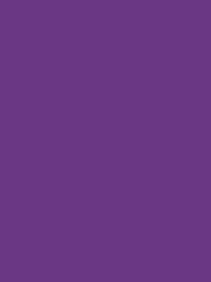 AEROSTITCH No. 60 1000M PURPLE