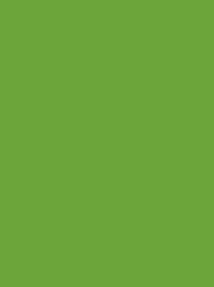 FROSTED MATT No. 40 2500M  GREEN BRIGHT