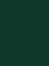 DECORA No. 12 300M FOREST  GREEN