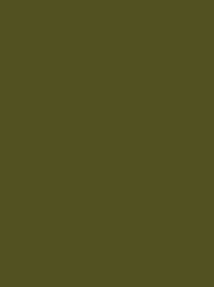 DECORA No. 12 300M OLIVE